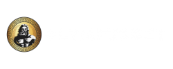 olympusbet-sport