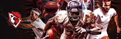 Roosterbet sport de