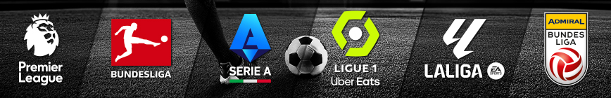 Top-Ligen