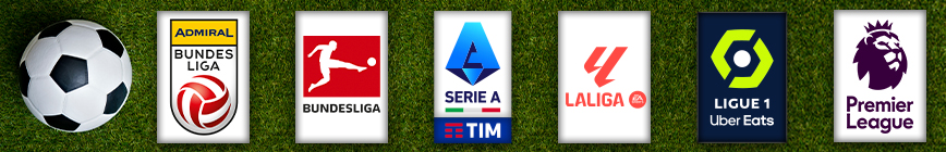 Top-Ligen