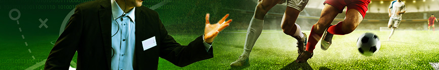 Top-Ligen