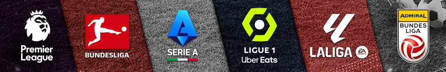 Top-Ligen