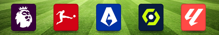 Top-Ligen