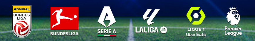 Top-Ligen